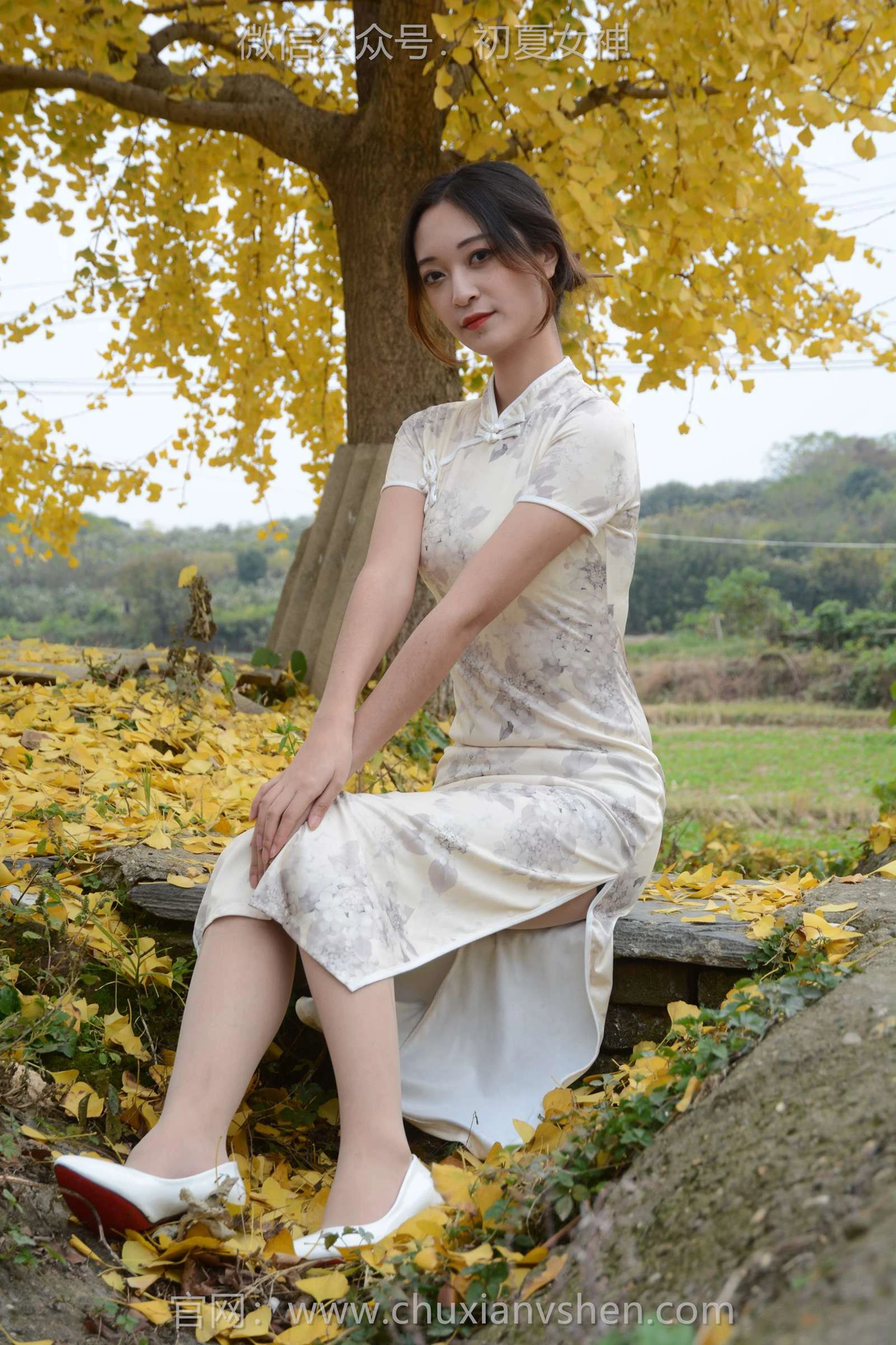 初夏女神 NO.129 依依 寒冬旗袍风[140P/1V/3.27GB]