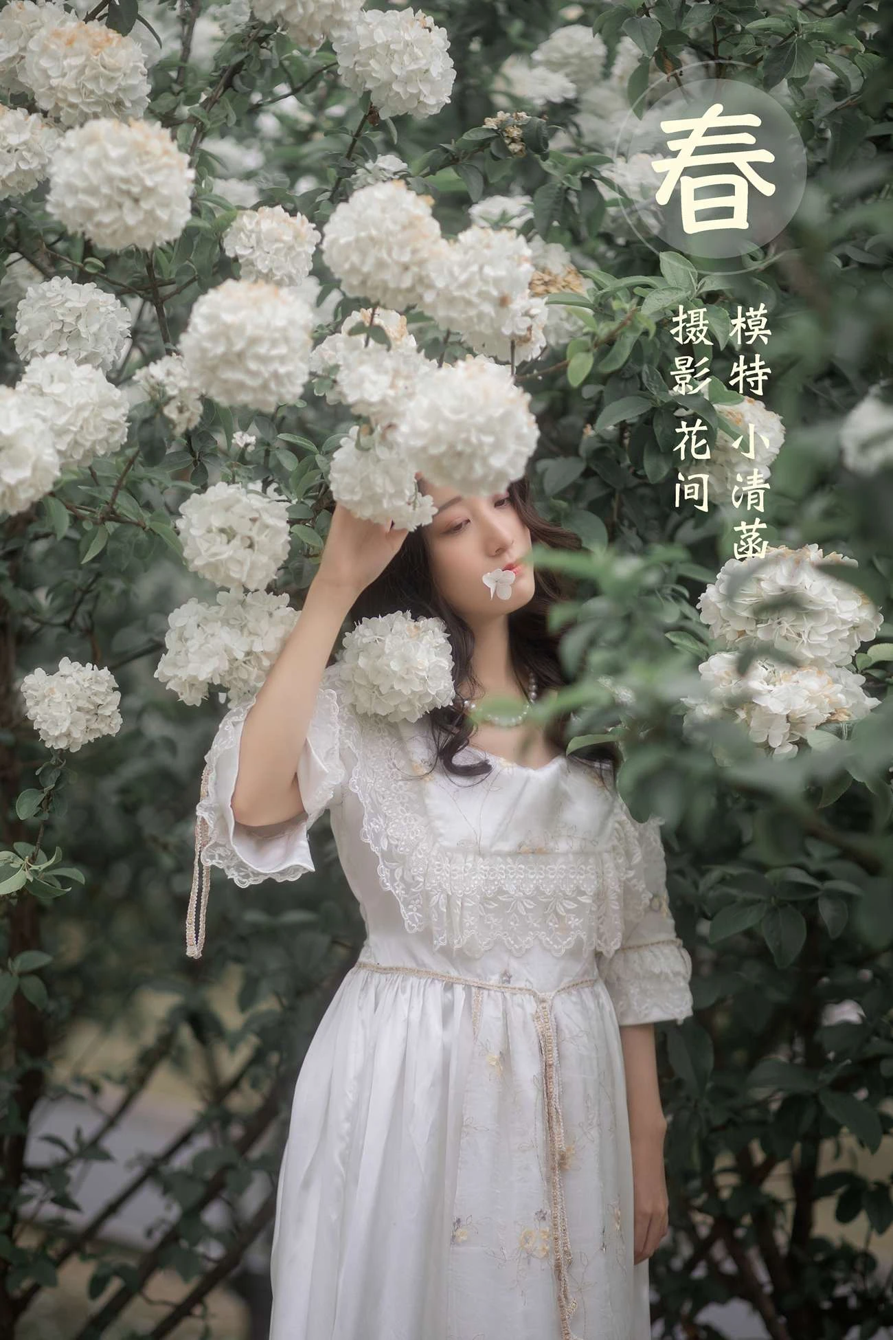 [YITUYU艺图语] 2021.12.22 春 小清菡 [21P/334MB]