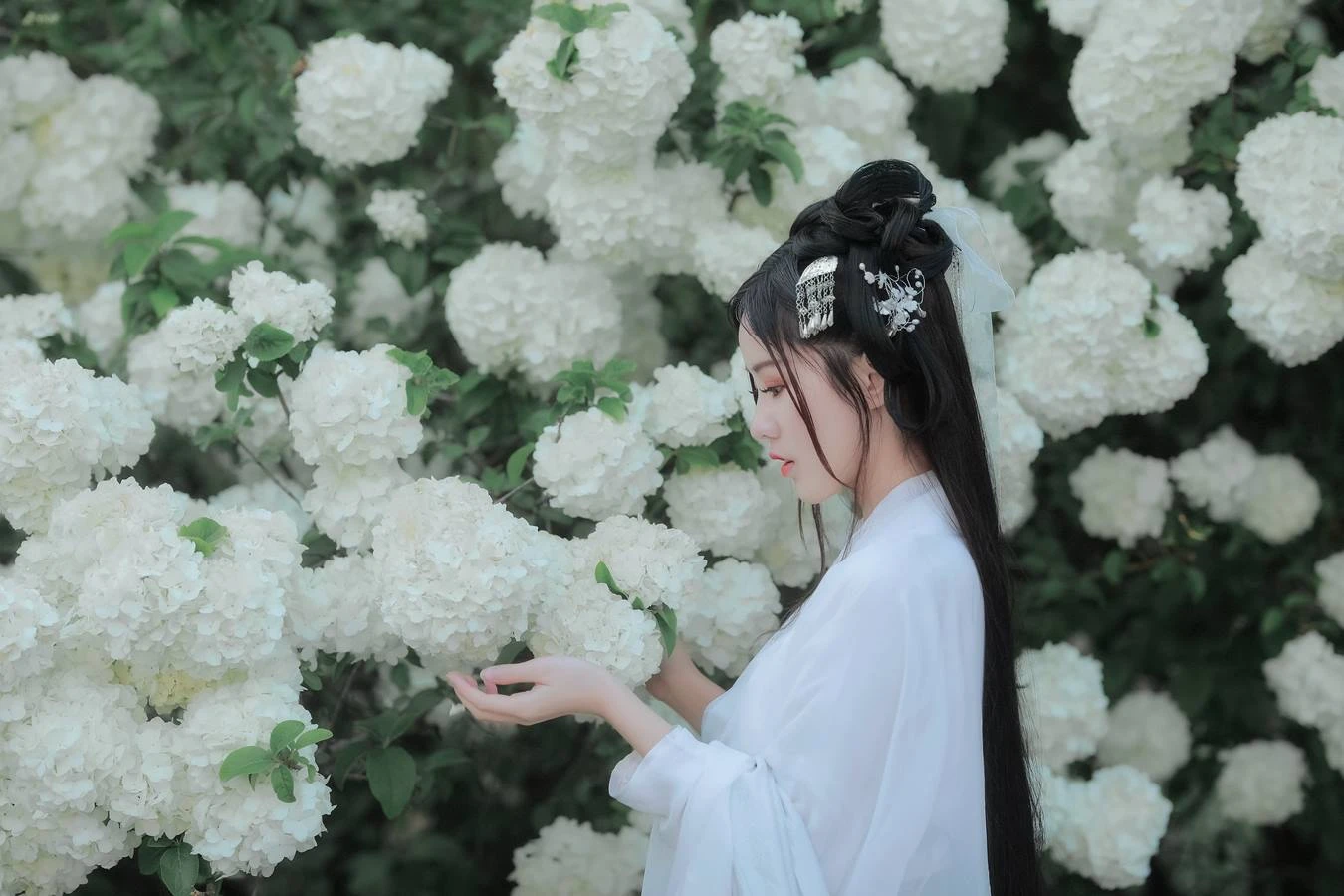 [YITUU艺图语] 2022.05.20 紫荆花开 若希icy [23P/592MB]