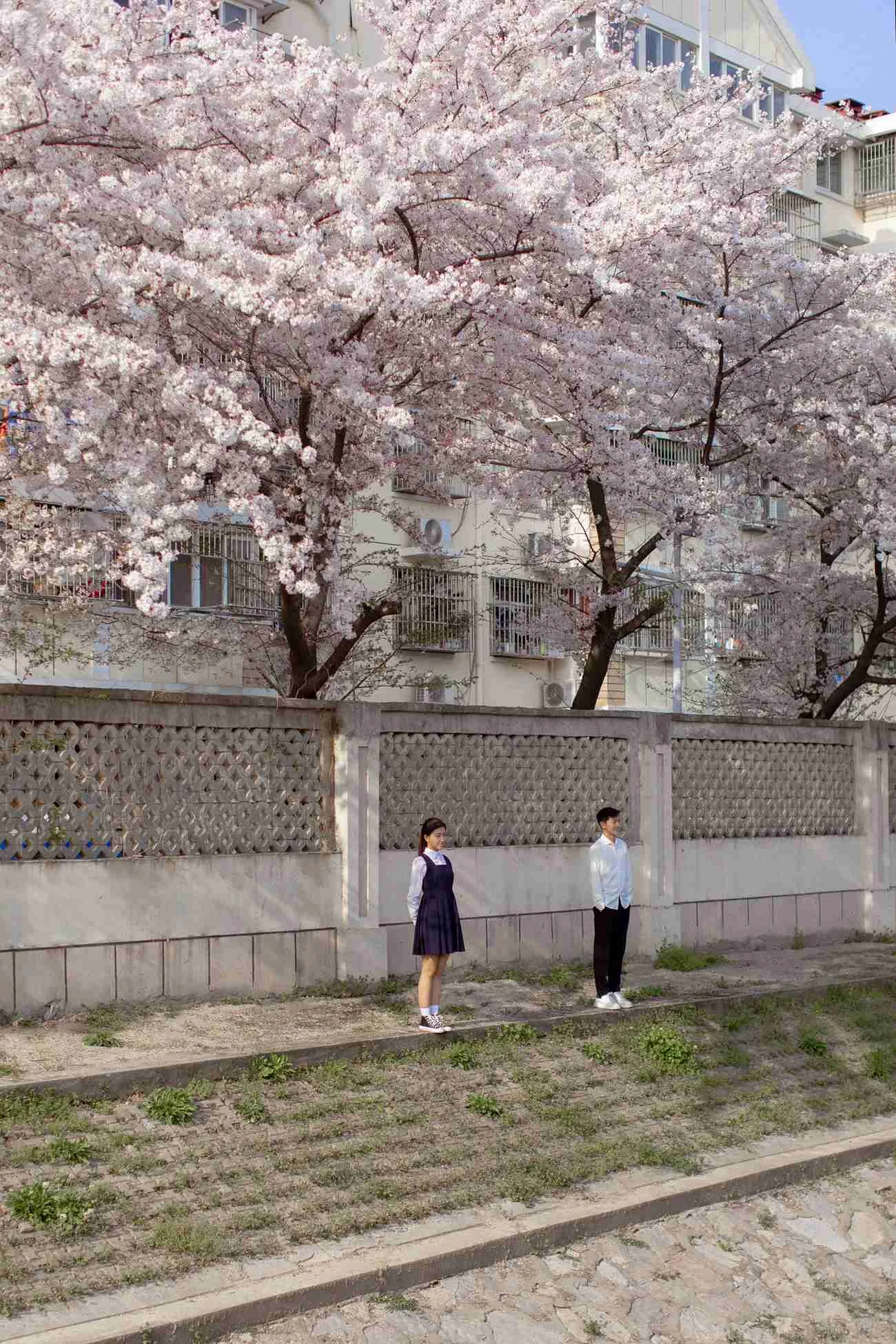 [YITUYU艺图语] 2021.09.02 粉樱花语 模特合辑 [28P/344MB]