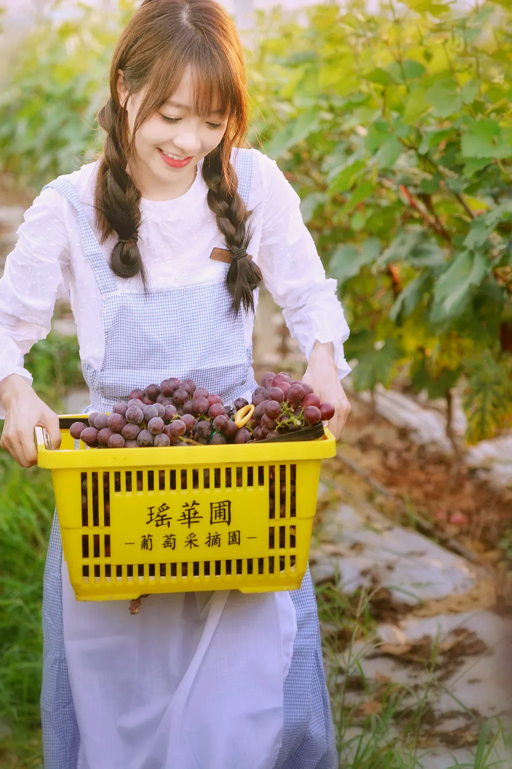 [YITUYU艺图语]2023.02.04 葡萄园丰收的喜悦 鸭鸭[23+1P/179MB]