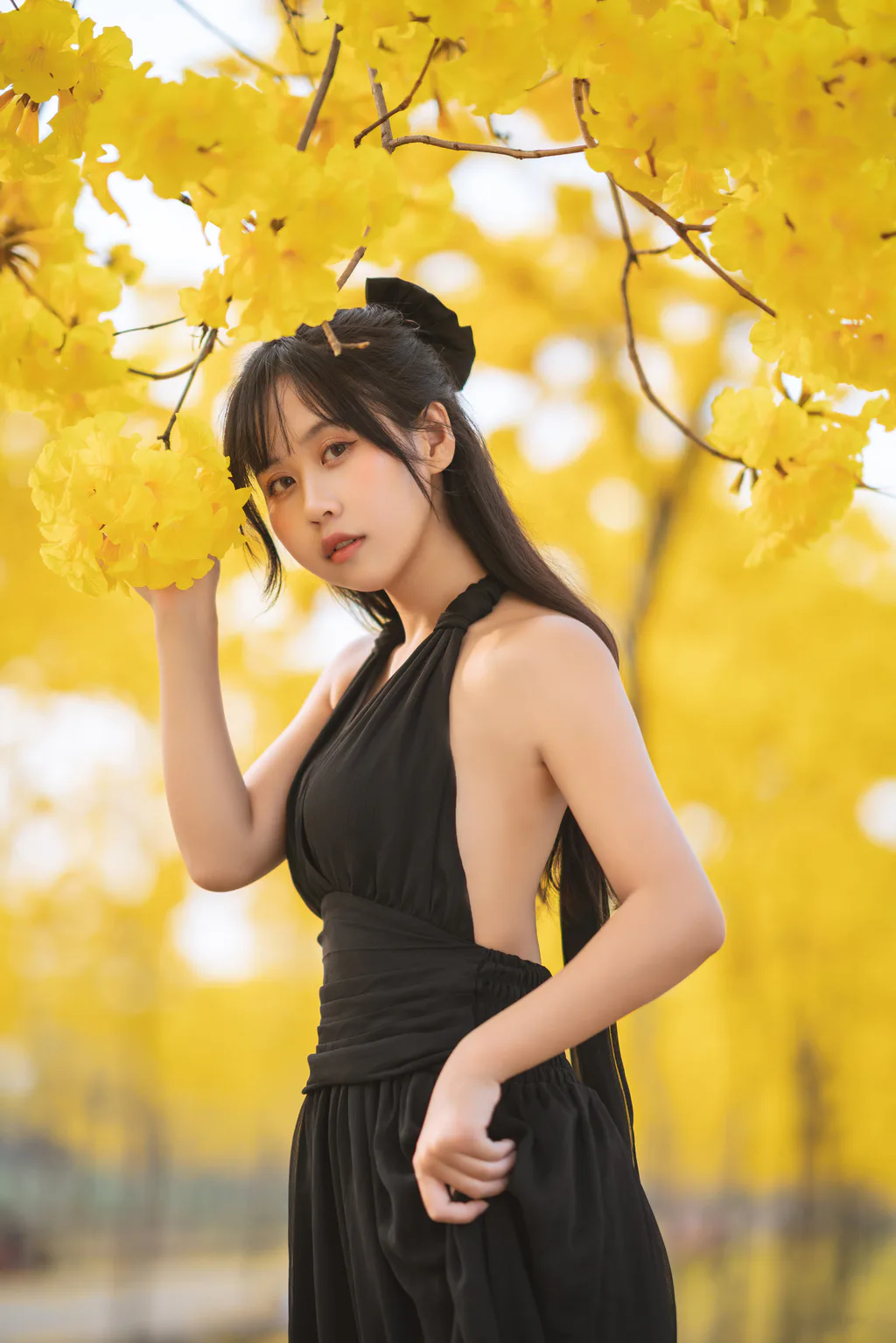 [YITUYU艺图语]2023.02.14 秋有银杏 春有黄风铃 萌芽儿o0[24+1P/342MB]