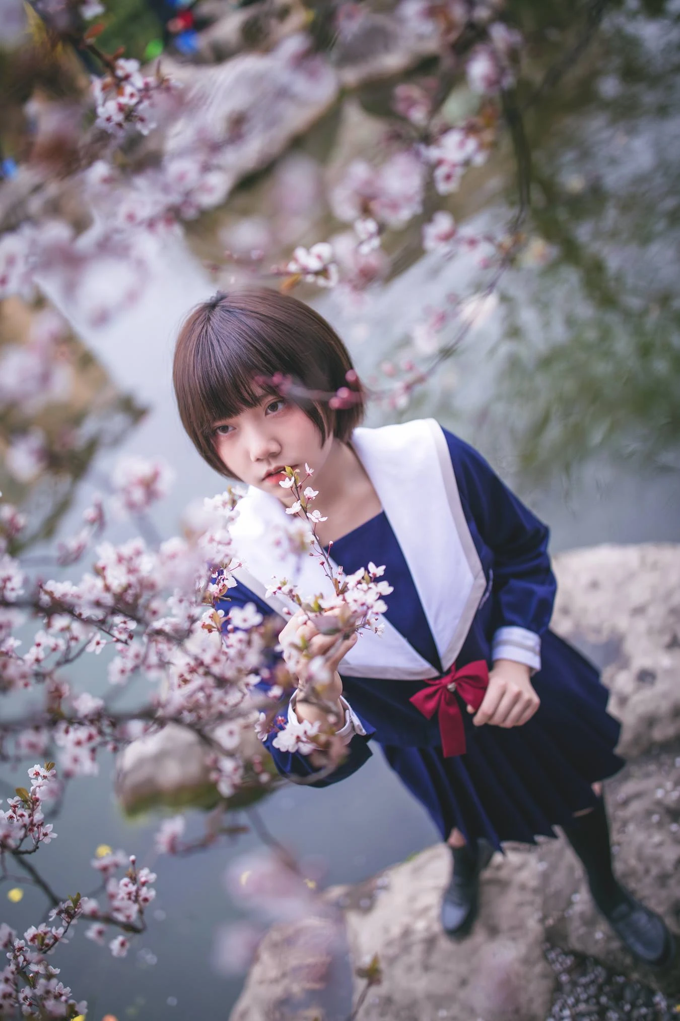 [YITUU艺图语] 2022.04.15 樱花树下 灰猫 [20P/444MB]