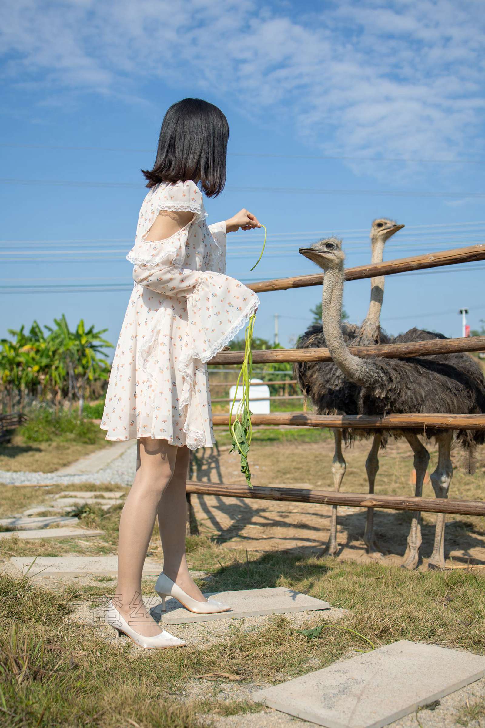 尤蜜丝 NO.086 穿搭推广展示图集[76P/400MB]