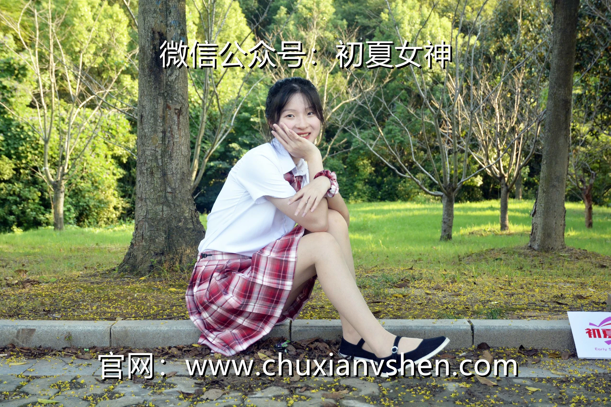 初夏女神 NO.102 安妮 草莓色JK[140P/1V/5.98GB]