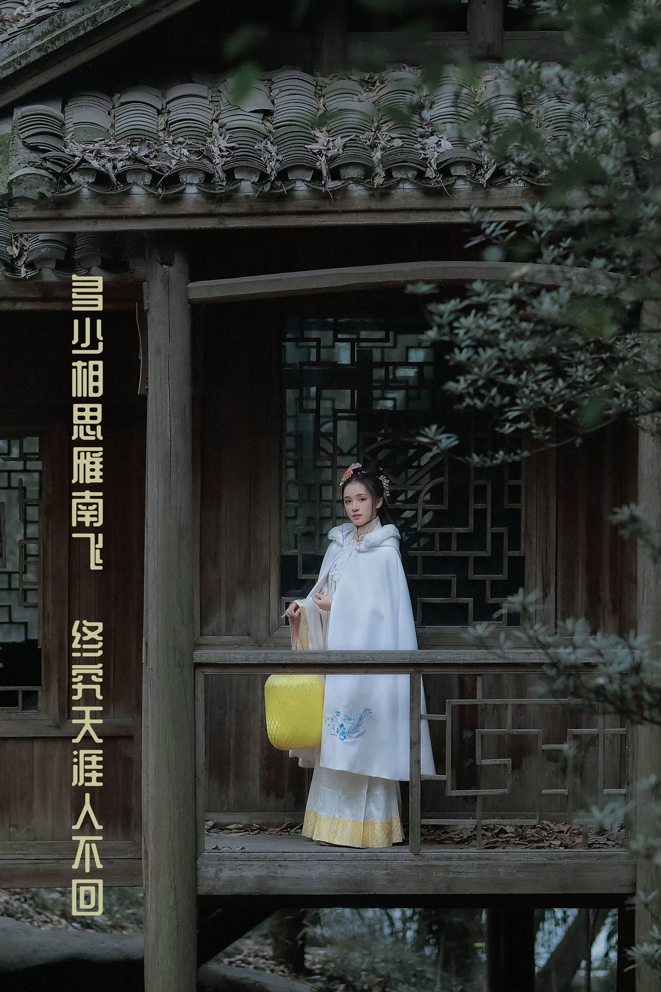 [YITUU艺图语] 2022.03.30 多少相思雁南飞，终究天涯人不回 思佳 [24P/541MB]