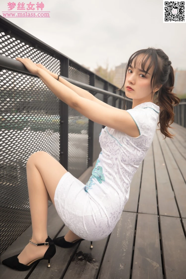 [MSLASS梦丝女神] 2019-10-24 玥玥 工业区的肉丝旗袍 [73P/1V/903MB]